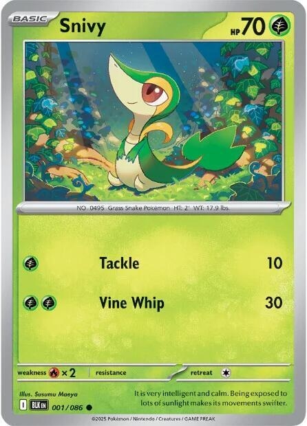 Horizontal line holofoil
Unova Poster Collection promo